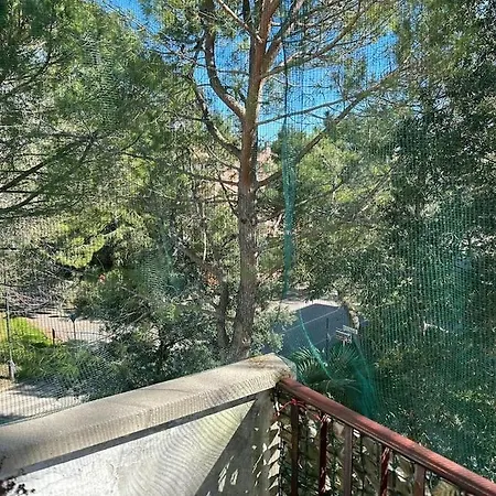 Immobile Vintage A Pineta Grado-Pineta