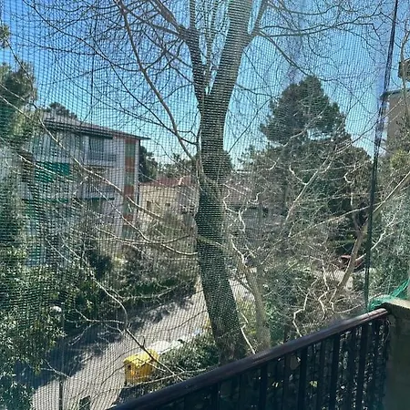 Immobile Vintage A Pineta Apartment Grado-Pineta